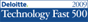 Deloitte Technology Fast 500
