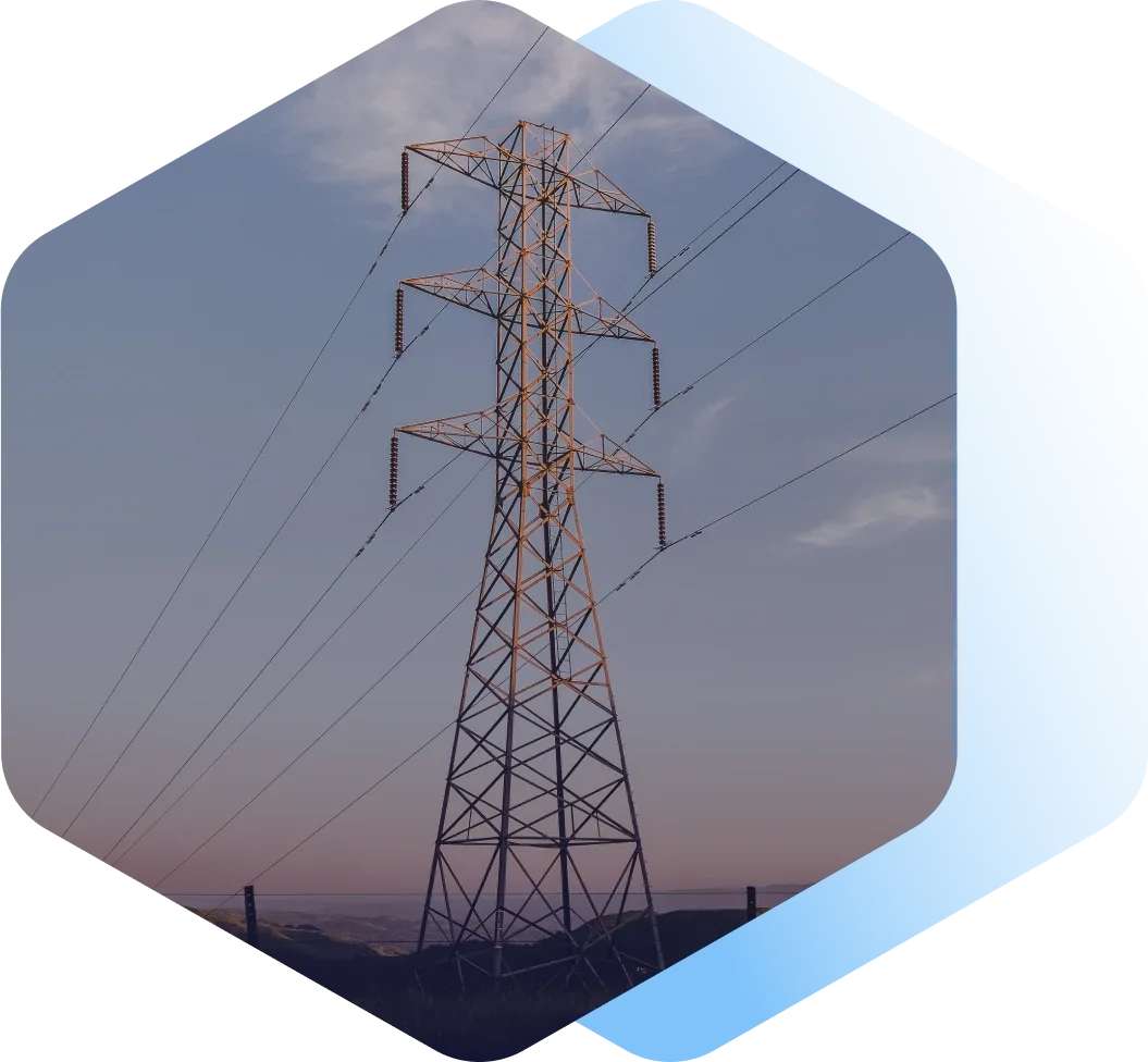 Power grid security