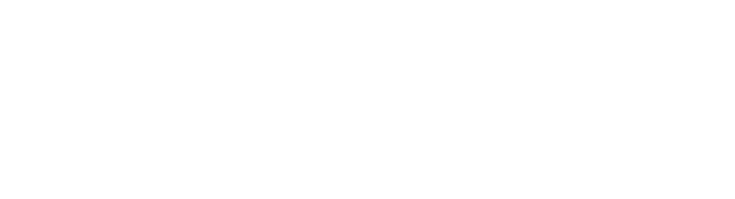 Tenable Network Security