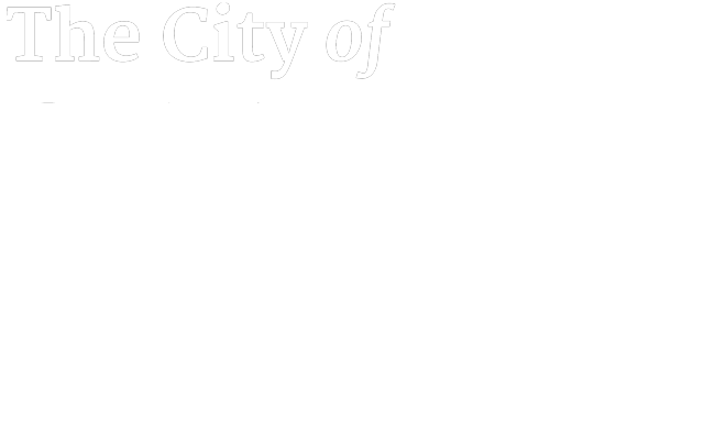 San Diego City Logo