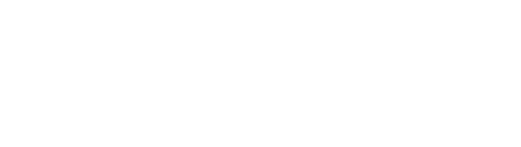 Nessus Pro Logo