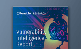 What are the top vulnerabilities found in the enterprise?
