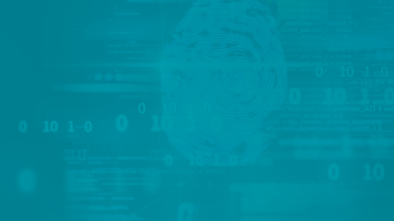 Tenable Ranked #1 in Device Vulnerability Management 2019 Market Share by Leading Analyst Firm