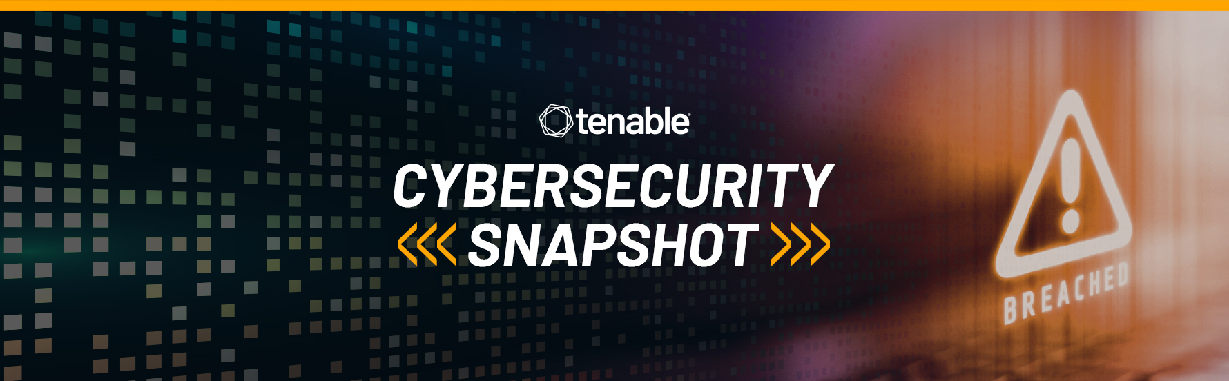 Cybersecurity Snapshot #13