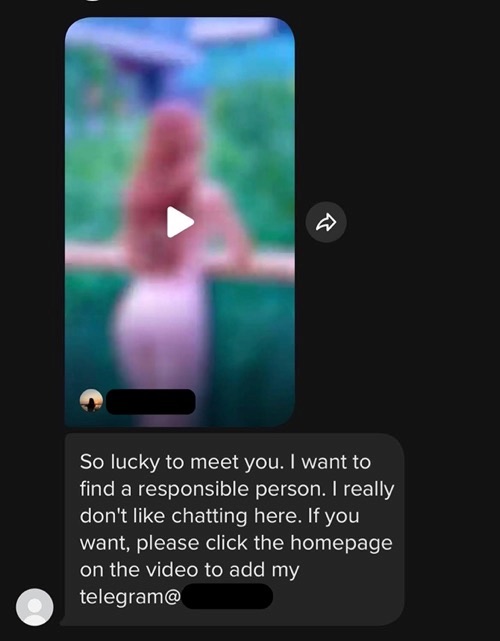 A direct message on TikTok in a pig butchering scam that tries to direct the user off platform and onto Telegram to continue the scam.
