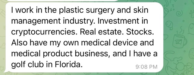 A Telegram message from a pig butcher talking about their legitimate-sounding work while also touting experience in investing.