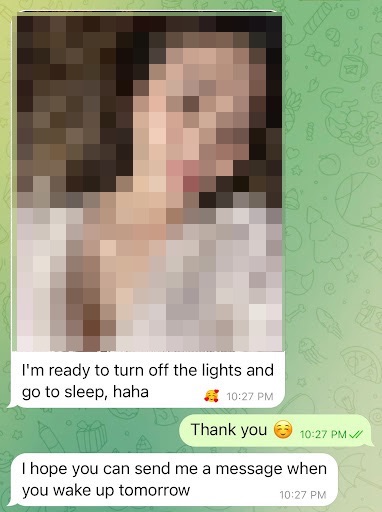 豚殺し屋が送った Telegram メッセージで、写真が挿入されている。もう就寝するけれど、被害者から翌日返信があることを祈っていると言っている。