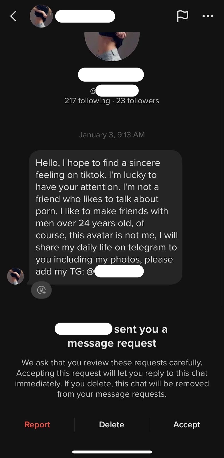 A direct message on TikTok in a pig butchering scam that tries to direct the user off platform and onto Telegram to continue the scam.