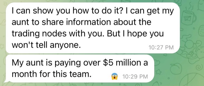 A Telegram message from a pig butcher talking about how a family member (aunt) has taught them how to successfully invest and how their aunt is paying $5 million a month for a team to help her invest
