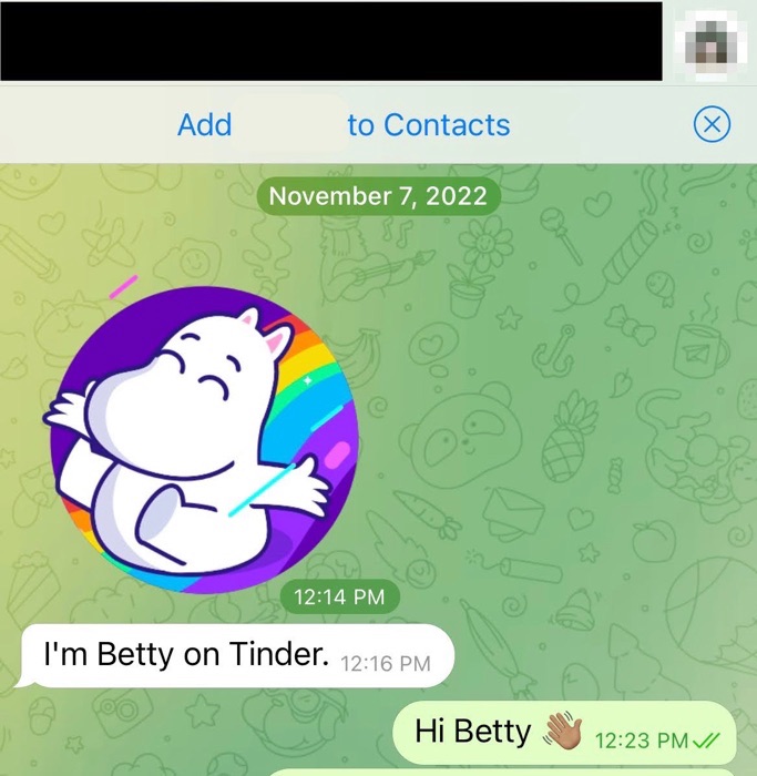 A message on Telegram from the pig butcher calling themselves "Betty" and noting that they were the same Betty from Tinder. 