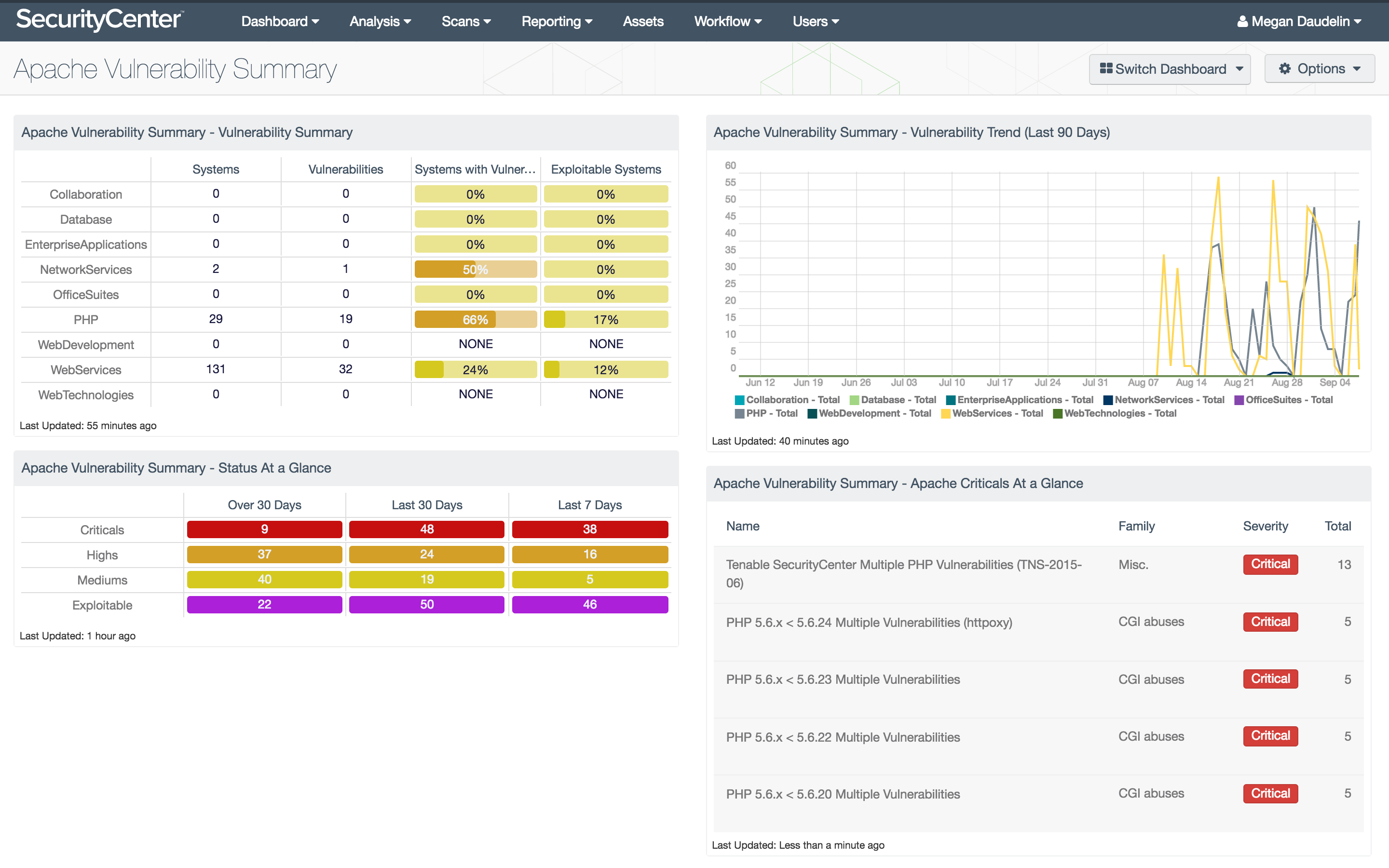 Apache Vulnerability Summary Dashboard Screenshot