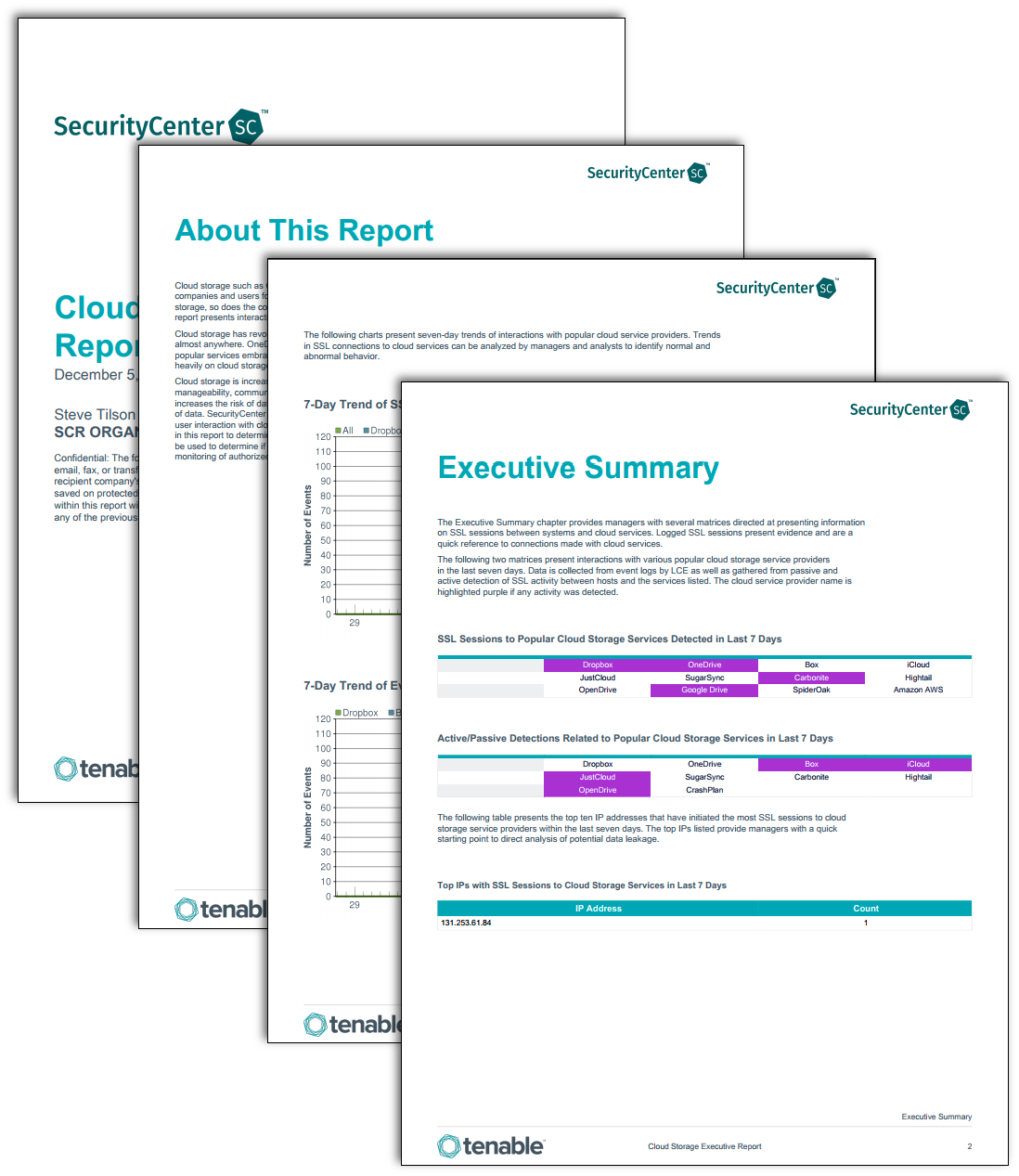 Cloud Storage Executive Report Screenshot