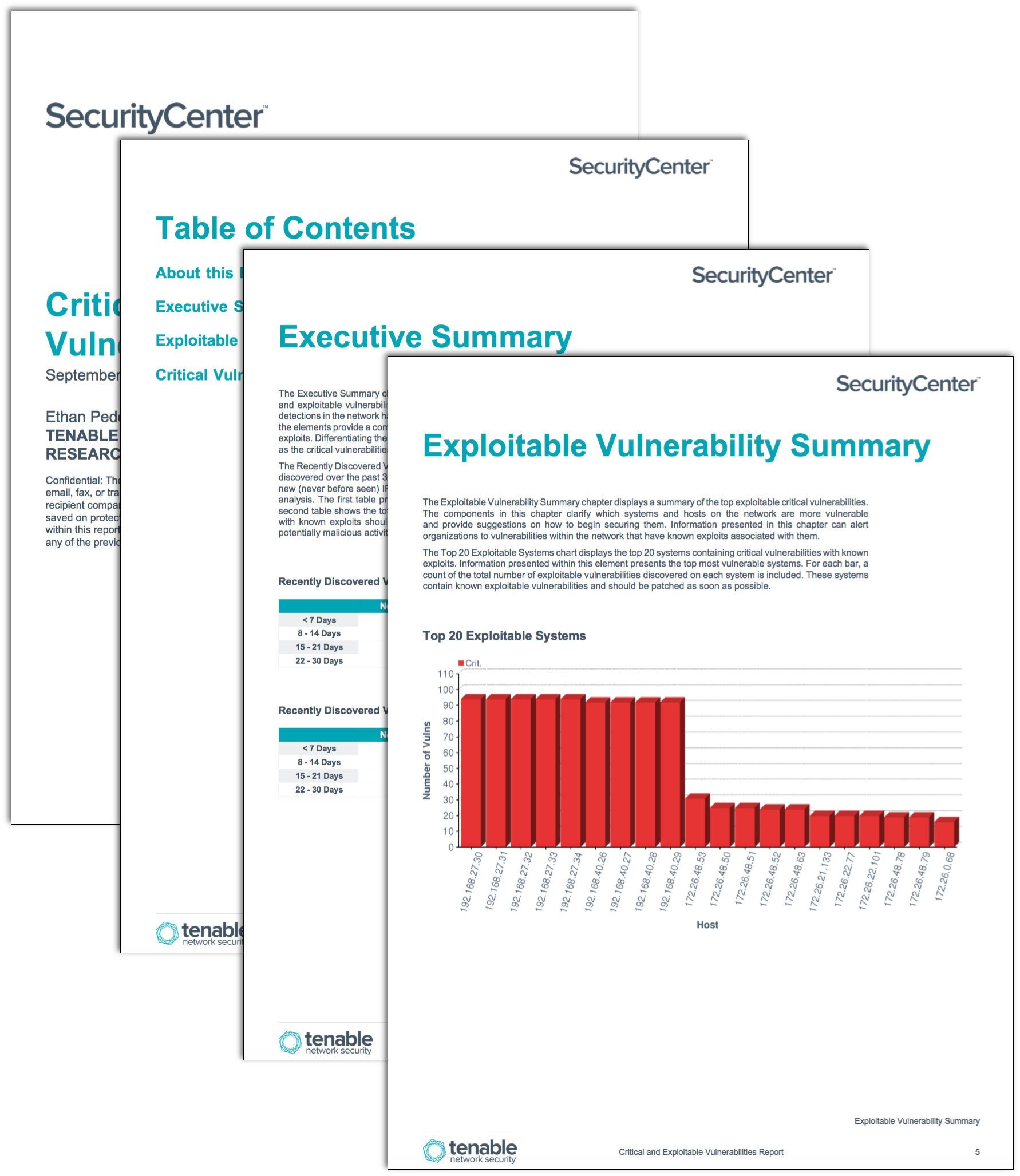 Critical and Exploitable Vulnerabilities Report Screen Shot