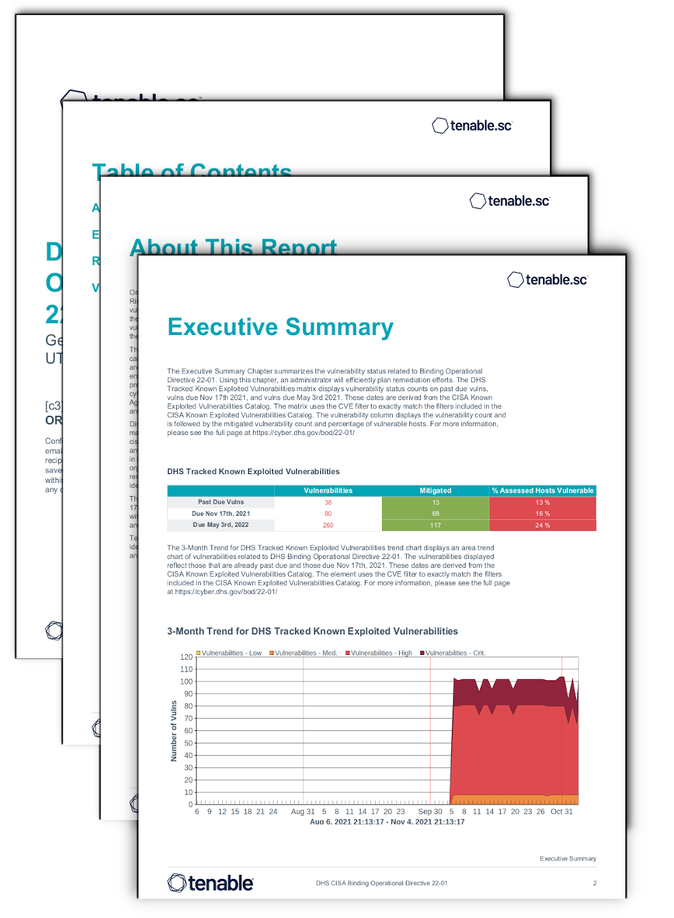 DHS CISA Binding Operational Directive 22-01 Report