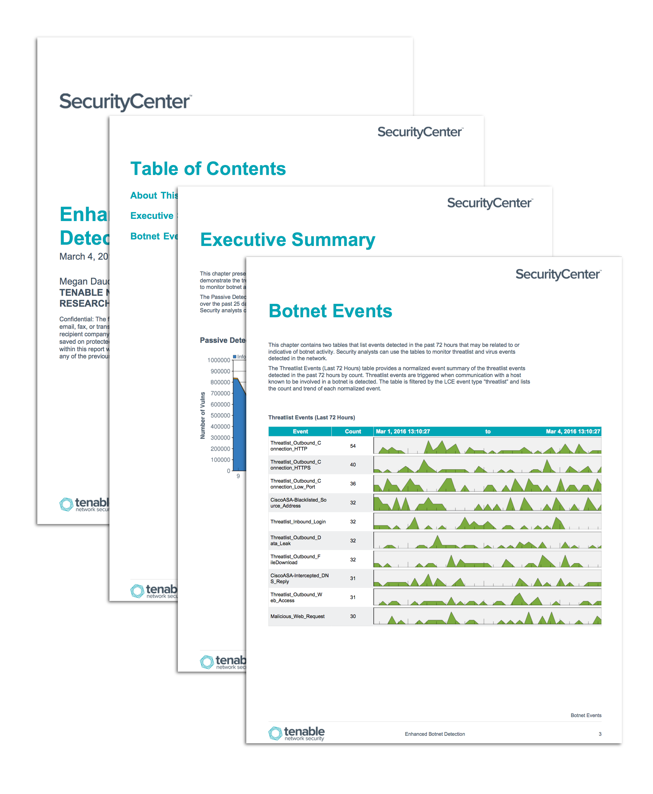 Enhanced Botnet Detection Report Screenshot