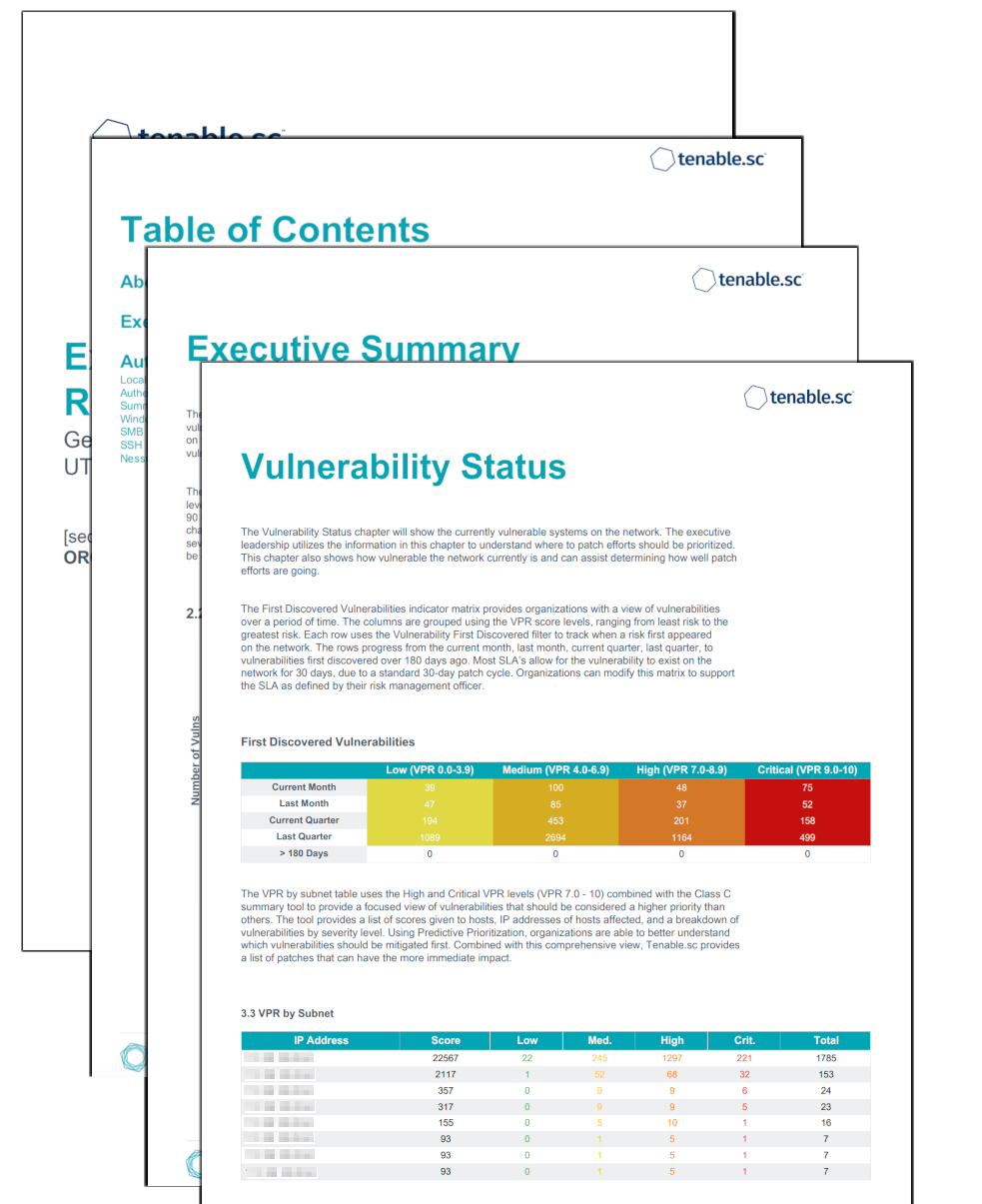 Executive VPR Summary Report Screenshot