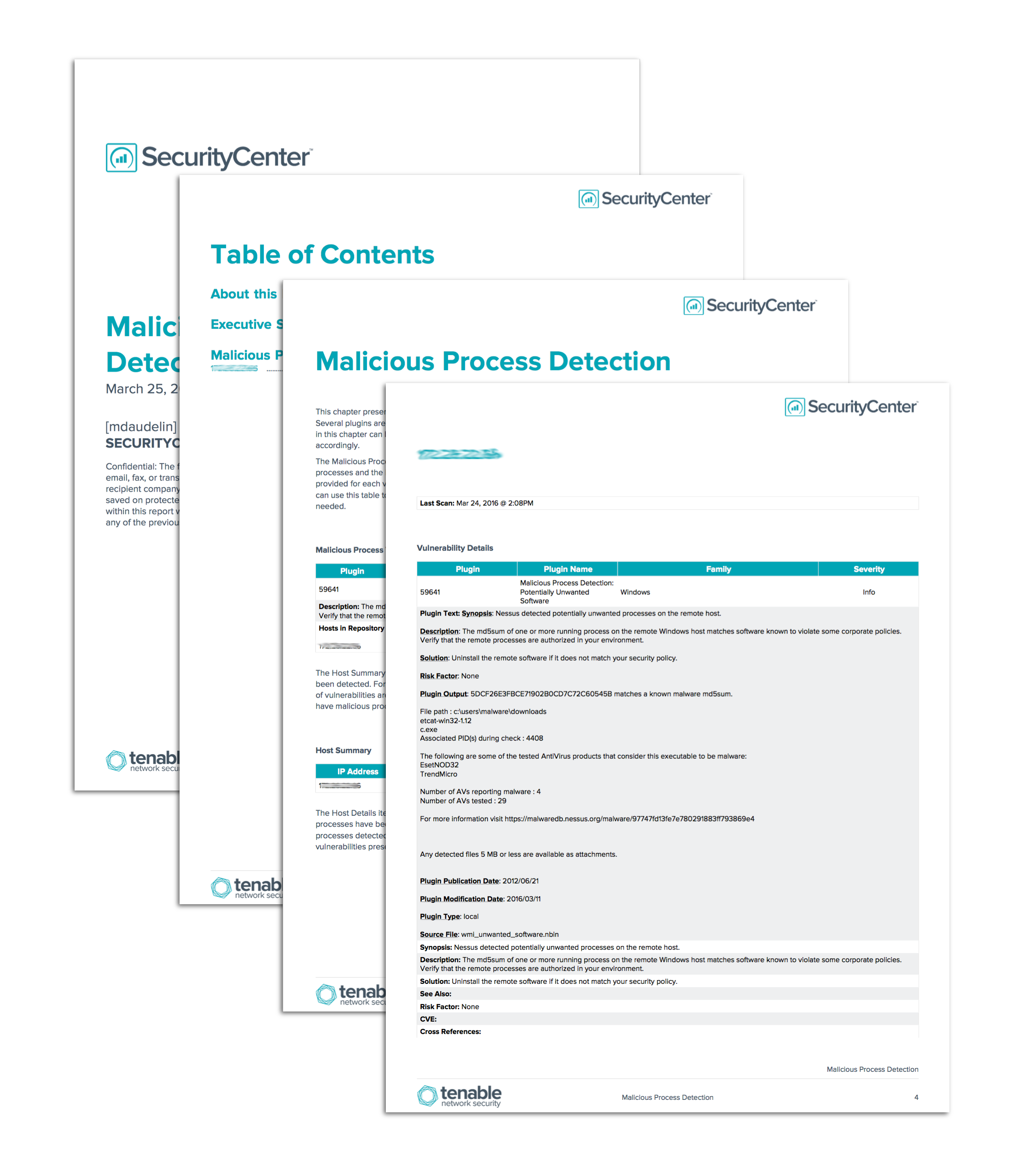 Malicious Process Detection Report Screenshot