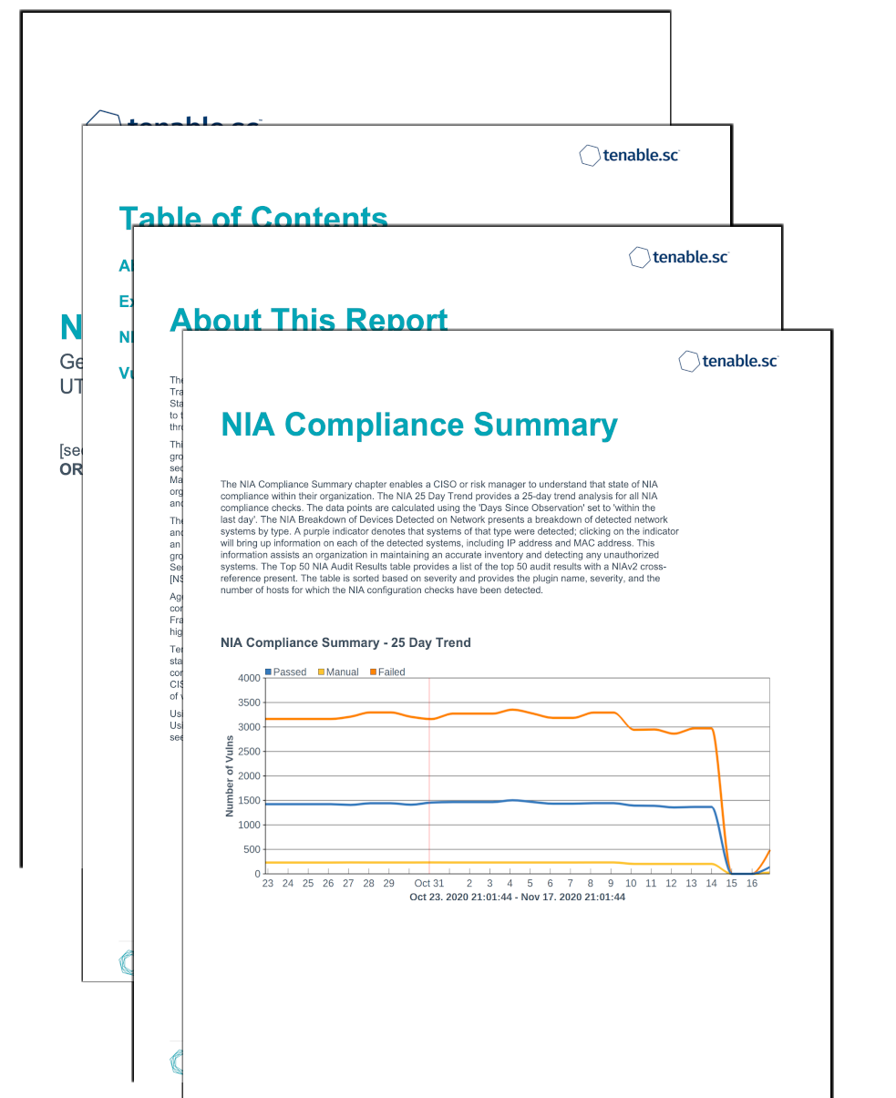 NIA Executive Summary Report Screenshot