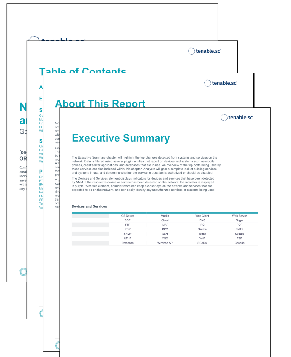 NNM Detections Report - Devices and Services Screenshot