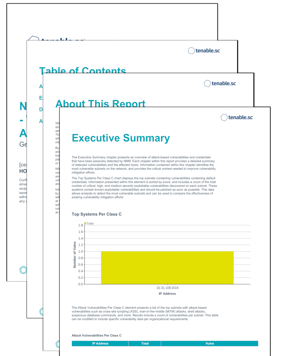 NNM Detections Report - Vulnerabilities and Attacks Screenshot