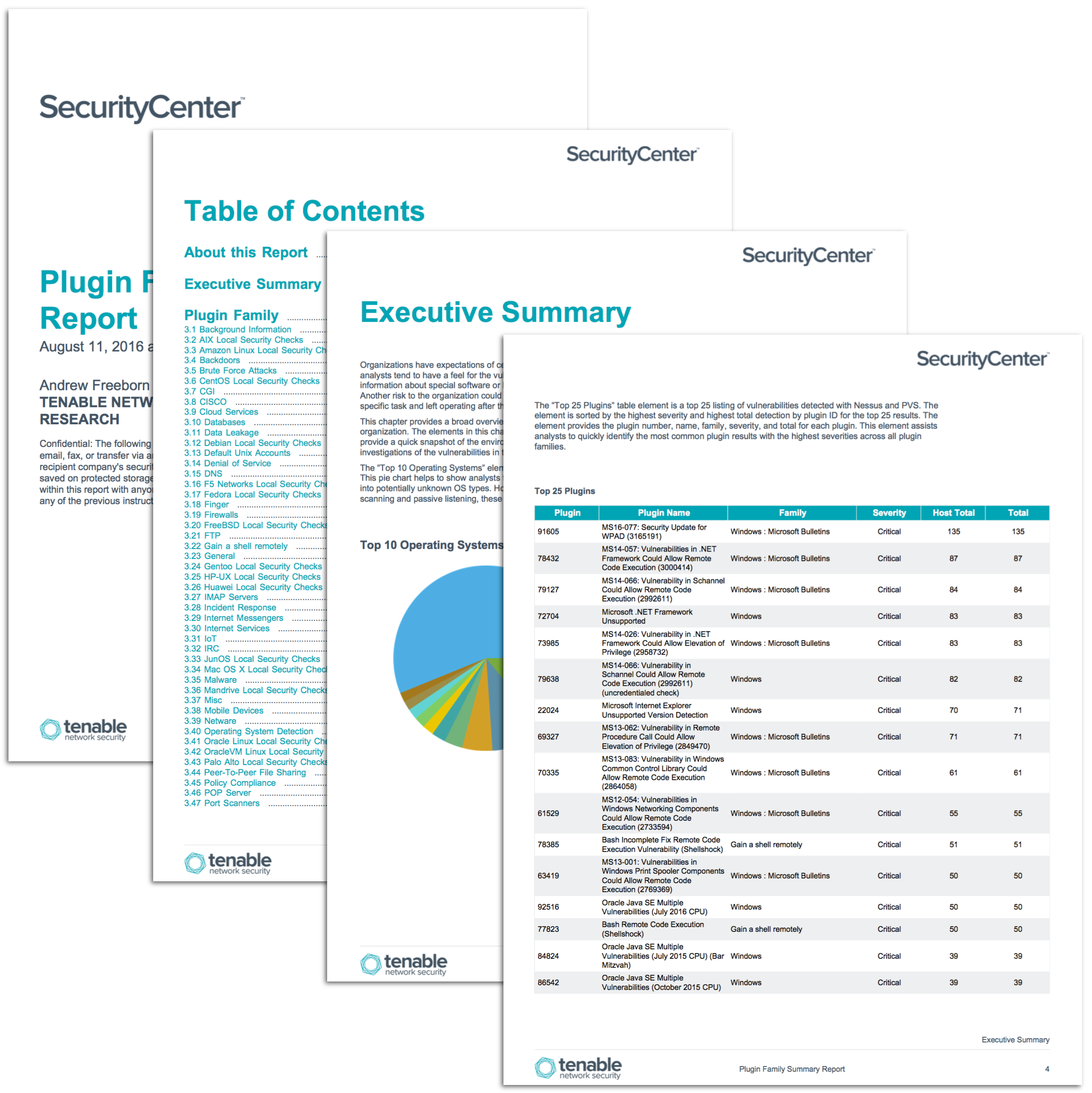 Plugin Family Summary Report