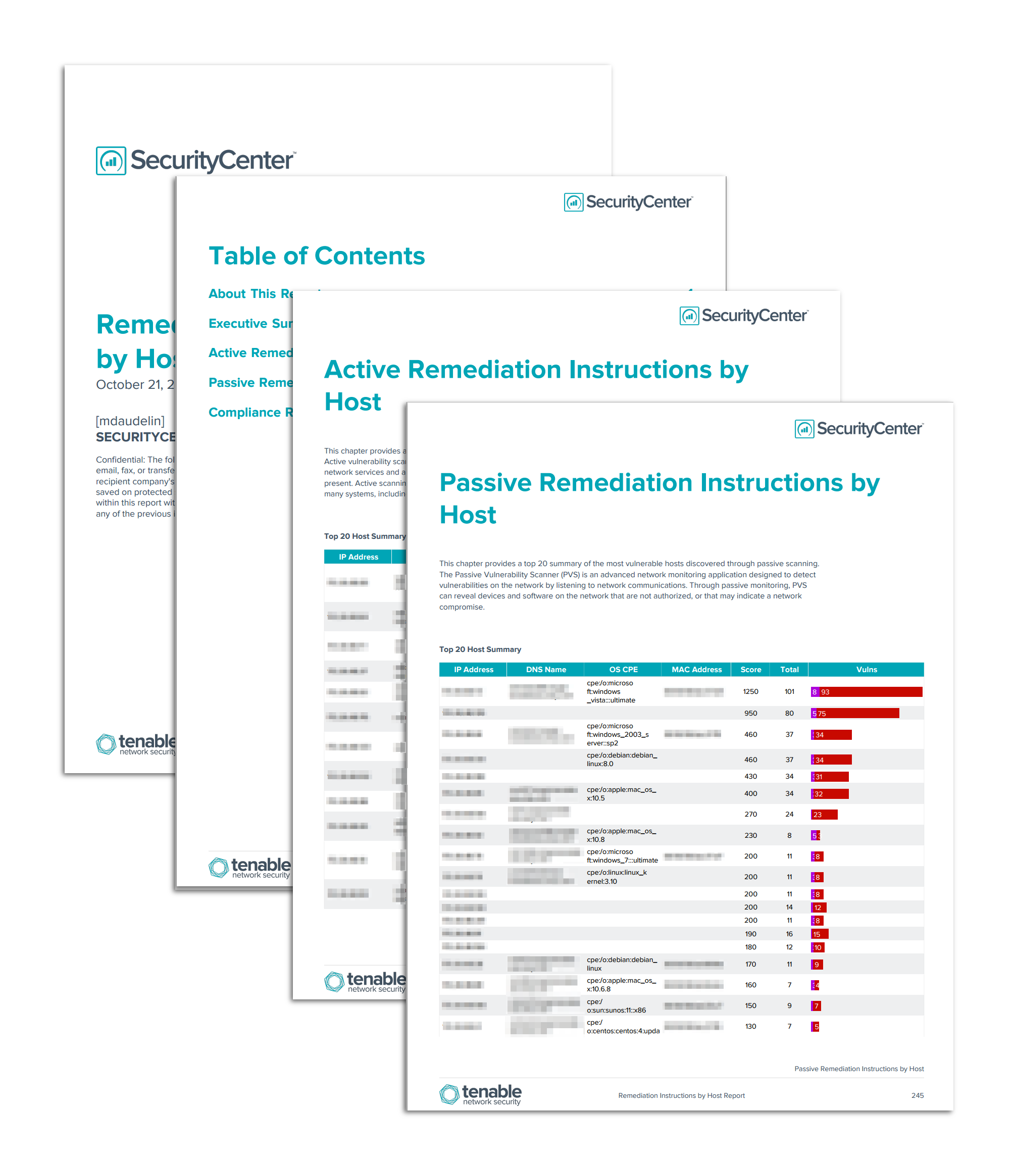 Remediation Instructions by Host Report Screen Shot