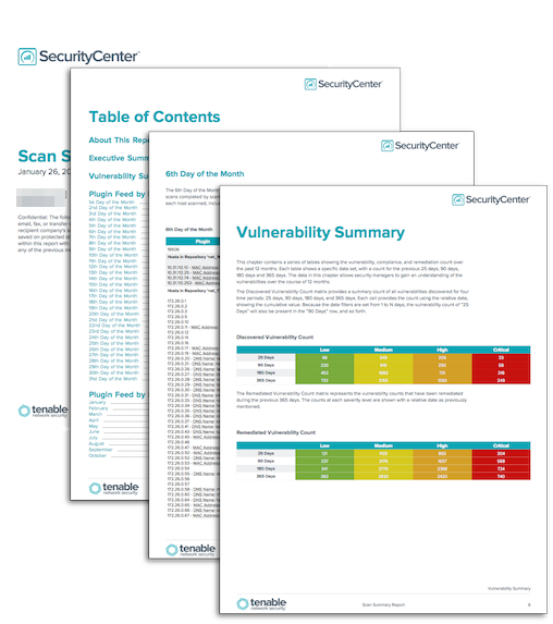 Scan Summary Report