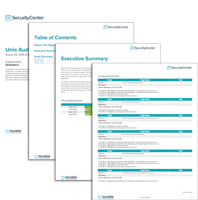 Unix Audit Report Screenshot