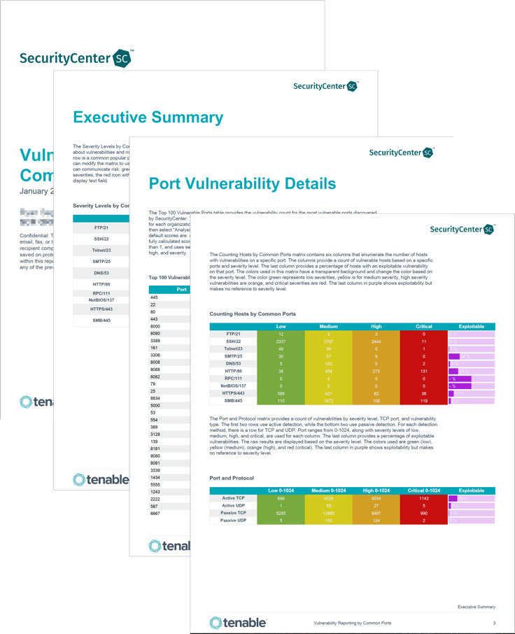 Vulnerability Reporting by Common Ports screenshot