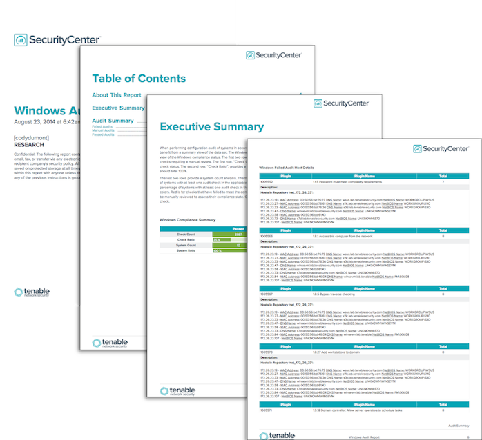 Windows Audit Report Screenshot