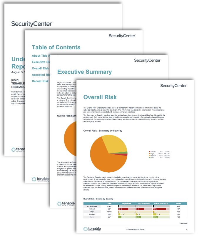 Understanding Risk Report