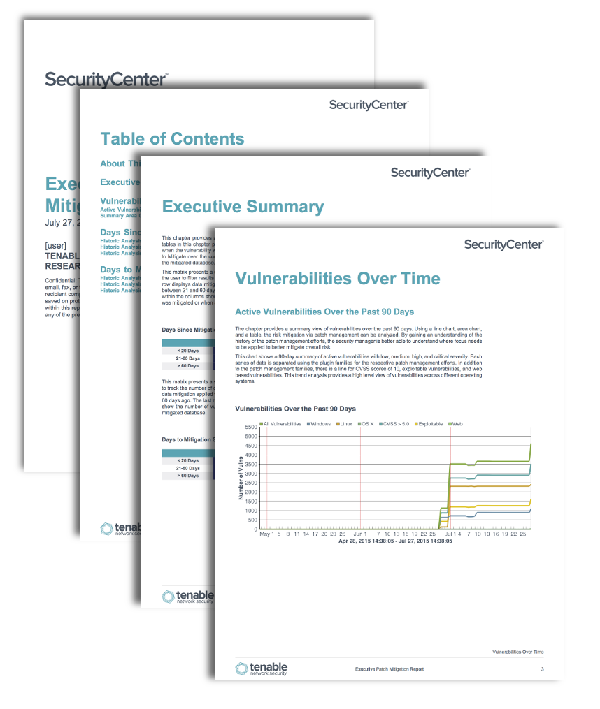 Executive Patch Mitigation Report