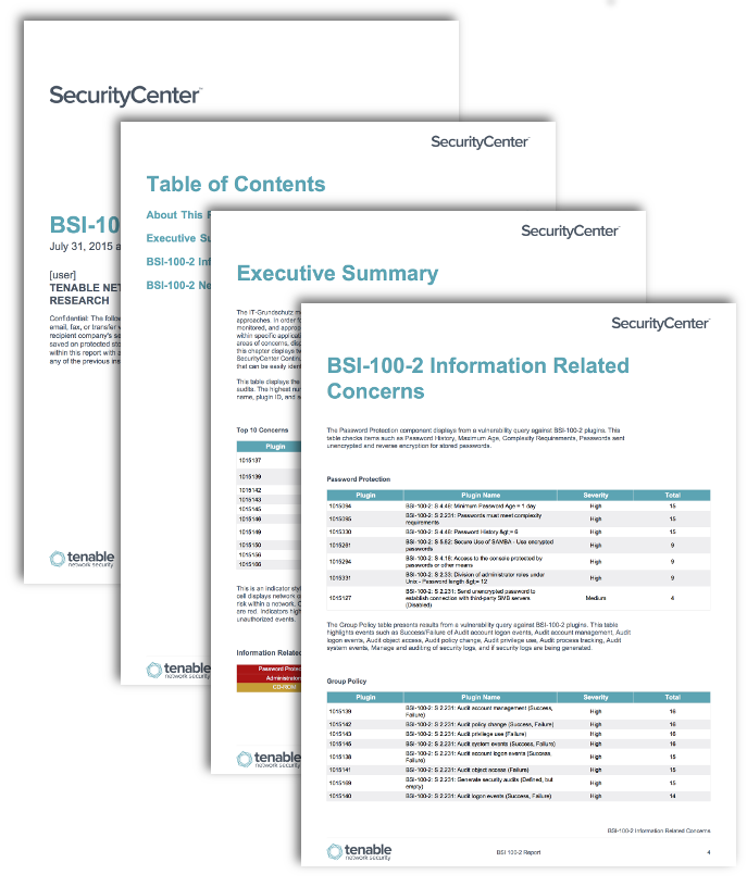 IT-Grundschutz BSI-100-2 Report