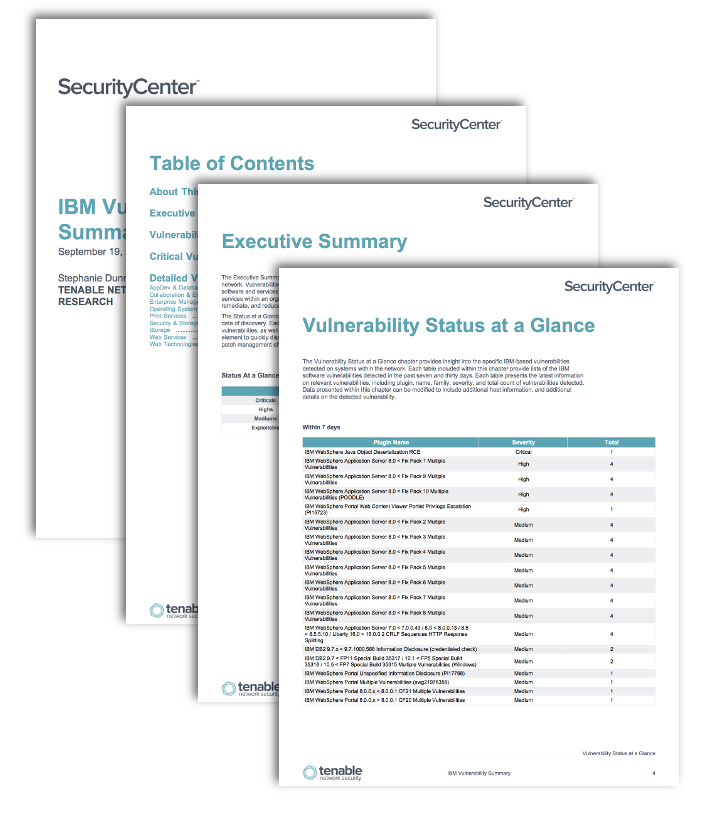 IBM Vulnerability Summary Report Screenshot