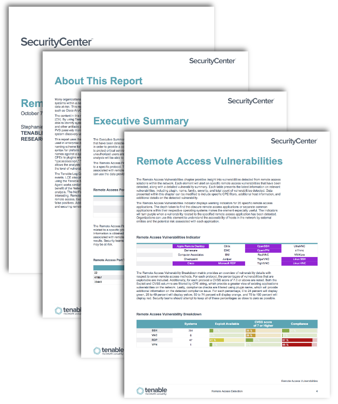 Remote Access Detection Report Screenshot