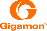 Gigamon