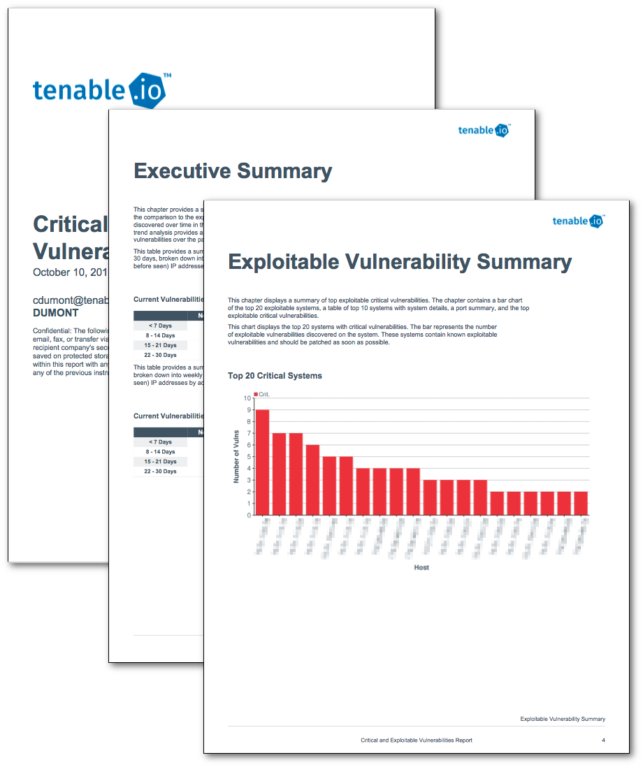 Critical and Exploitable Vulnerabilities Report