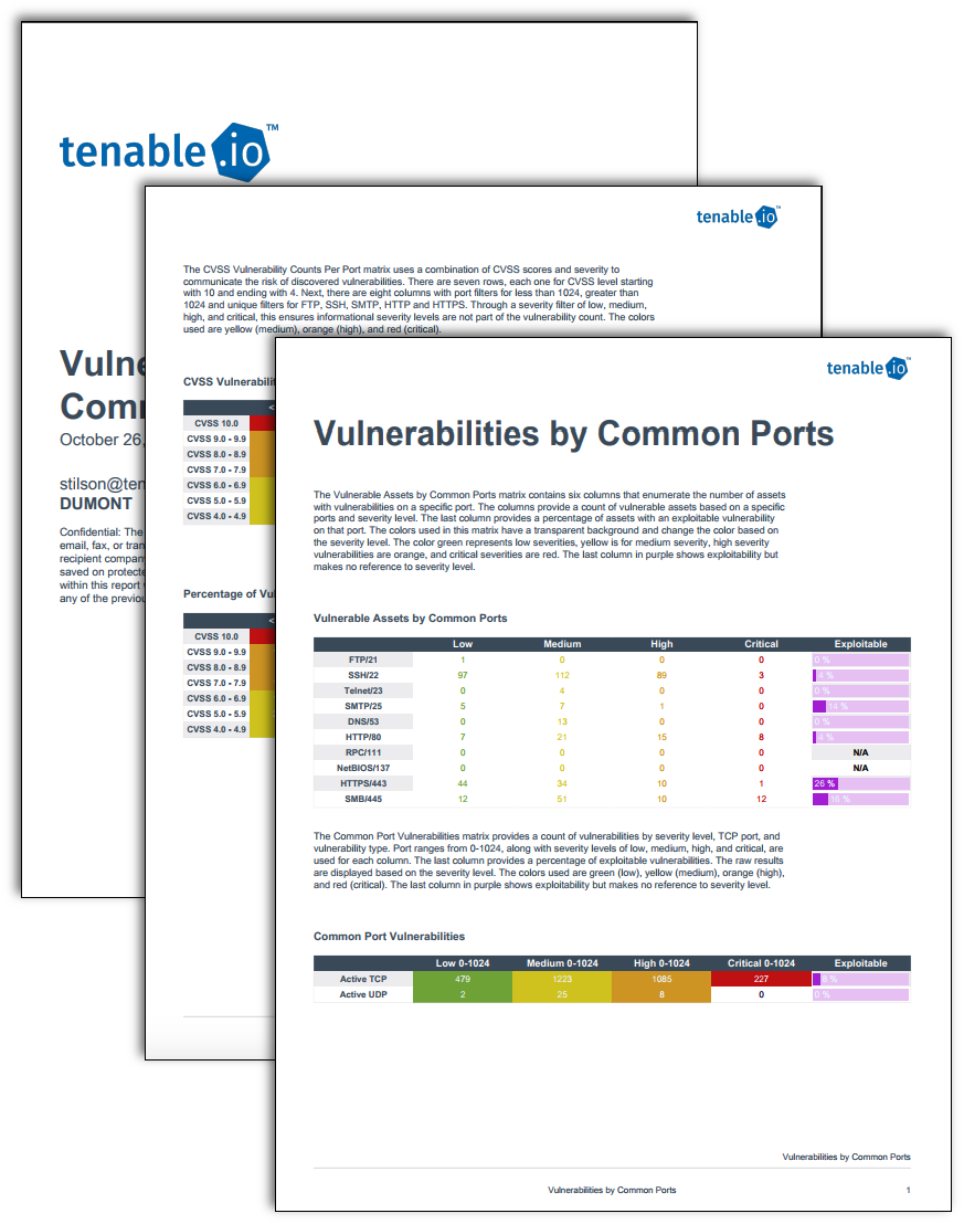 Vulnerabilities by Common Ports report