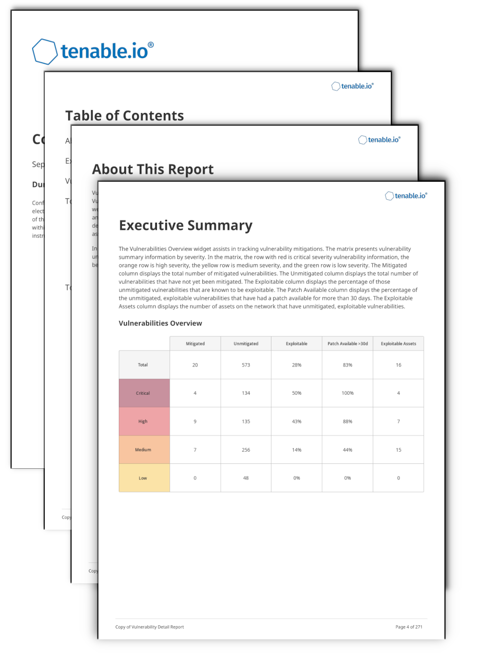 Vulnerability Details Report Image