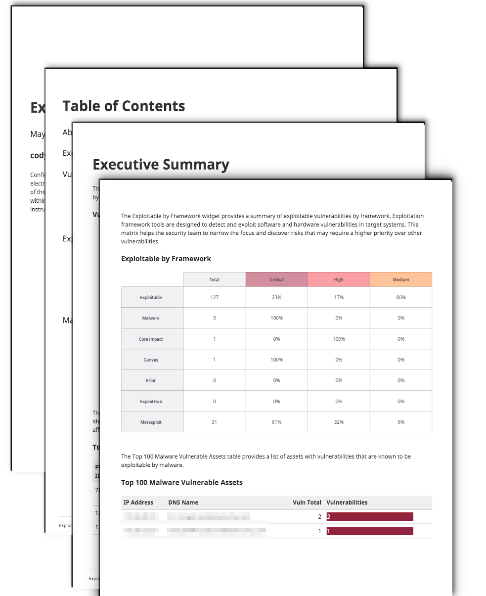 Exploitable by Malware Report Screenshot