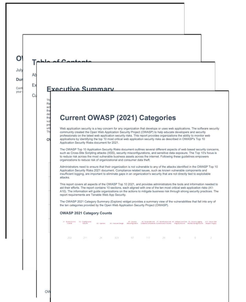 OWASP report screenshot
