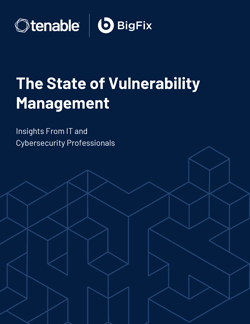 The State of Vulnerability Management.