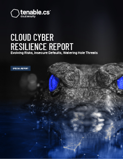 Cloud Cyber Resilience Report