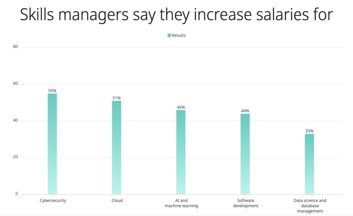 Cyber pros tell hiring managers Show me the money