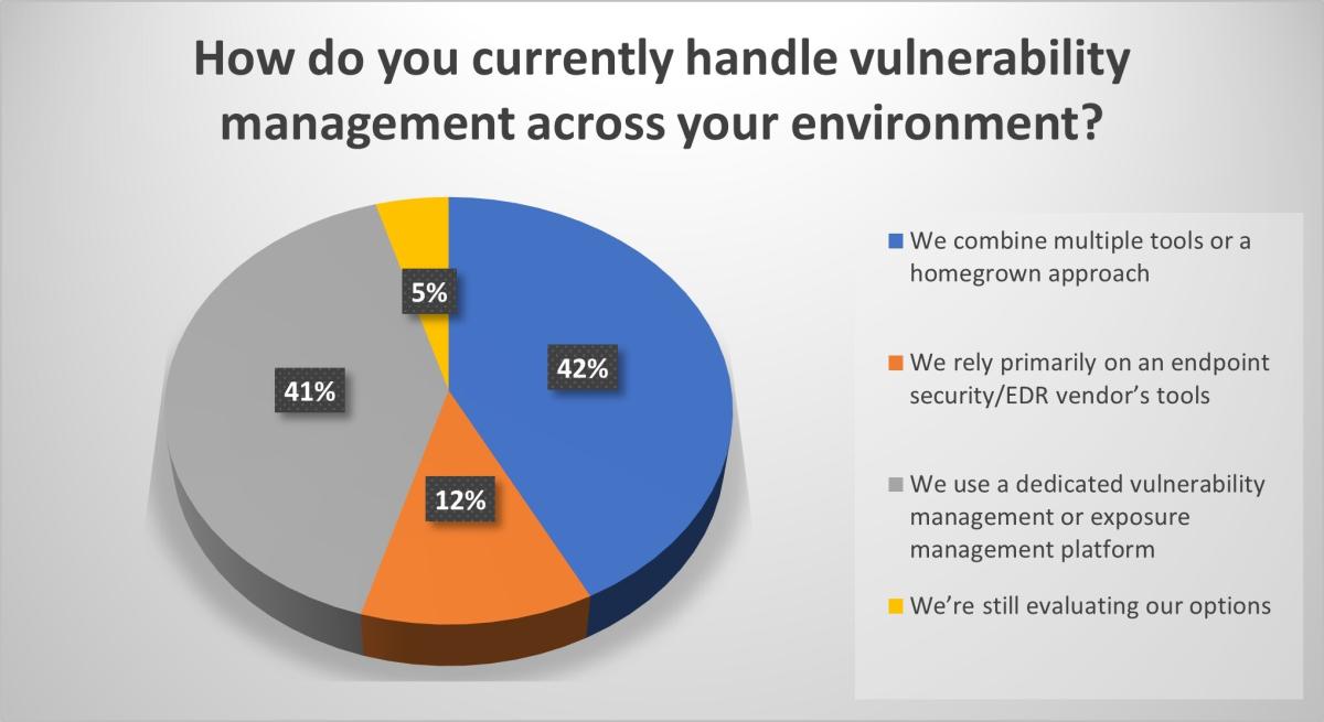 Graphic showing how organizations currently handle vulnerability management