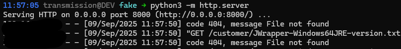 Screenshot of Python3 http.server logs