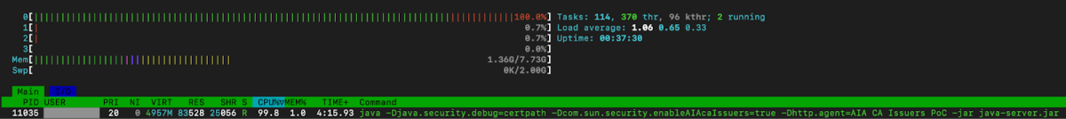 Screen capture showing resource usage.