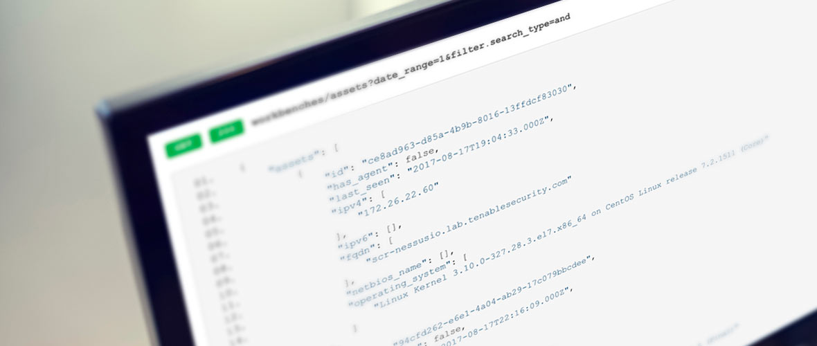 Intro to the Tenable.io API Intro to the Tenable.io API