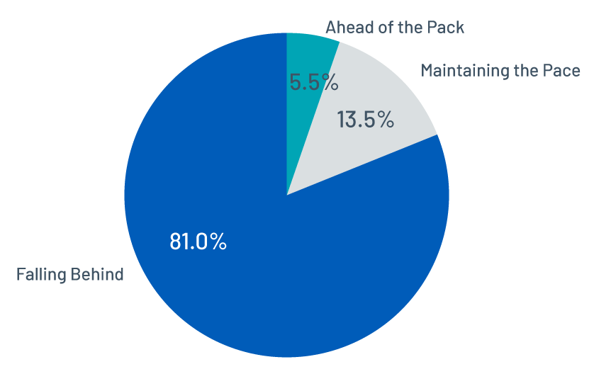 Figure 5 - Distribution of remediation pace across organizations