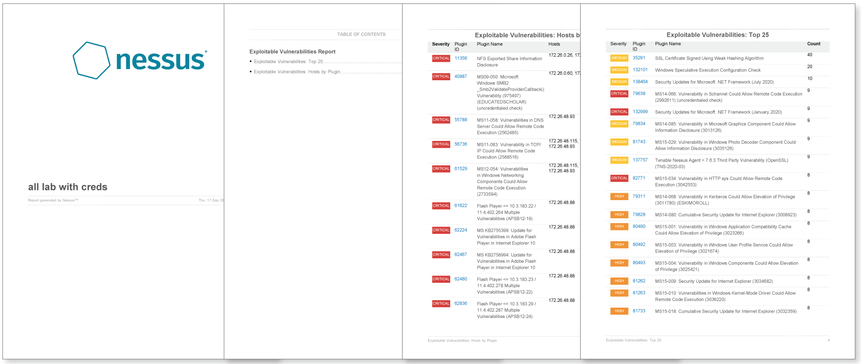 Nessus Professional - Exploitable Vulnerabilities Report